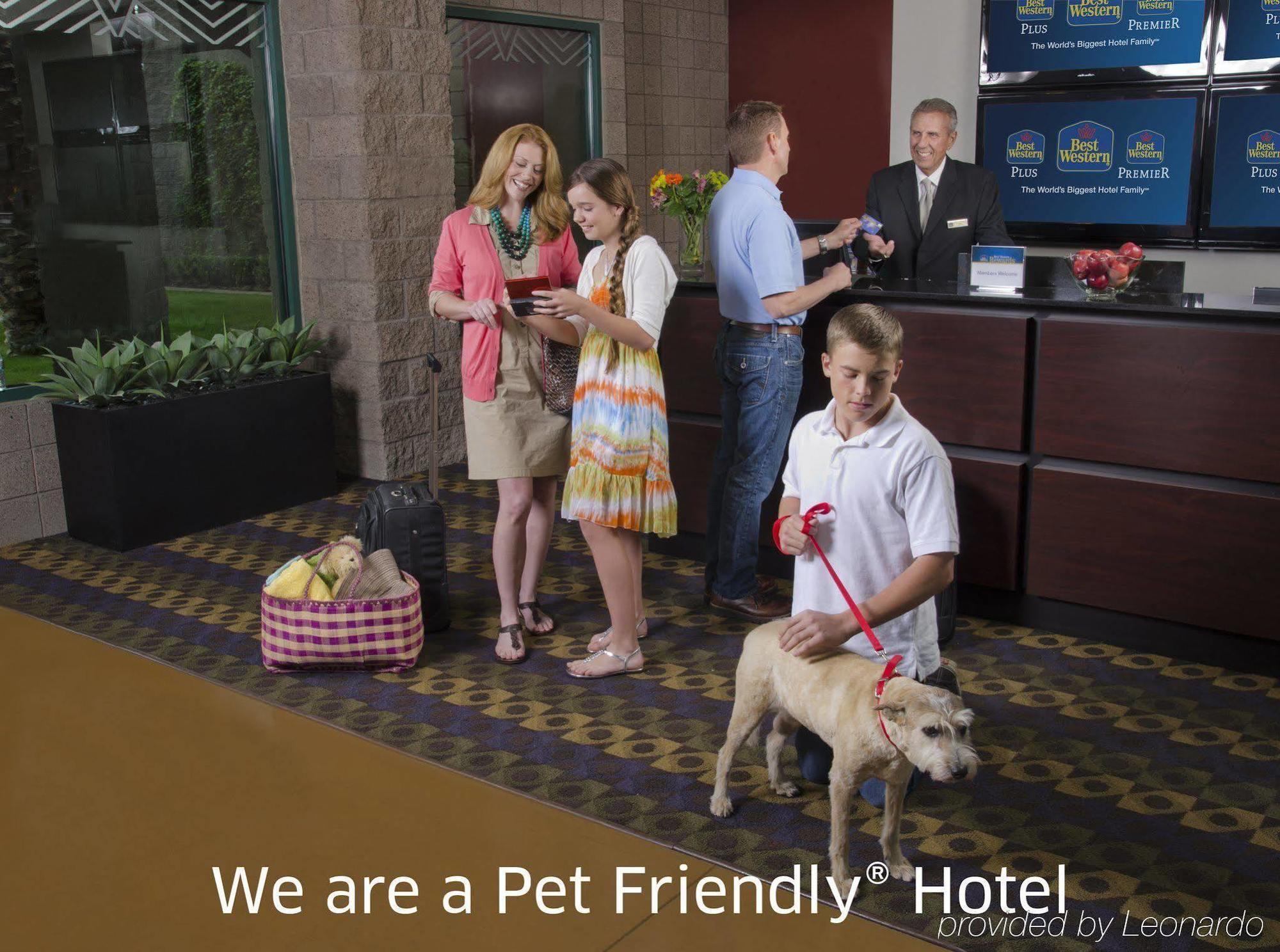 Surestay Plus Hotel By Best Western Mountain View Exterior foto